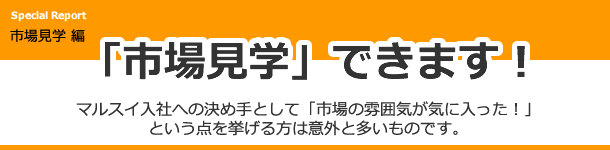 「市場見学」できます！